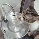 Bebedouro P/ Gato + Comedouro Ergonômico - BIVOLT