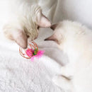 Transforme a Brincadeira do Seu Pet com a Mini-Mouse da LatidoPet!