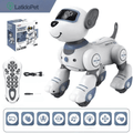 Descubra o RC Robot Electronic Dog- LANÇAMENTO