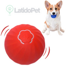BOLA ELETRICA PARA PETS, DEIXE SEU PET 24H FELIZ E ENTRETIDO, ENVIAMOS PRA TODO O BRASIL 