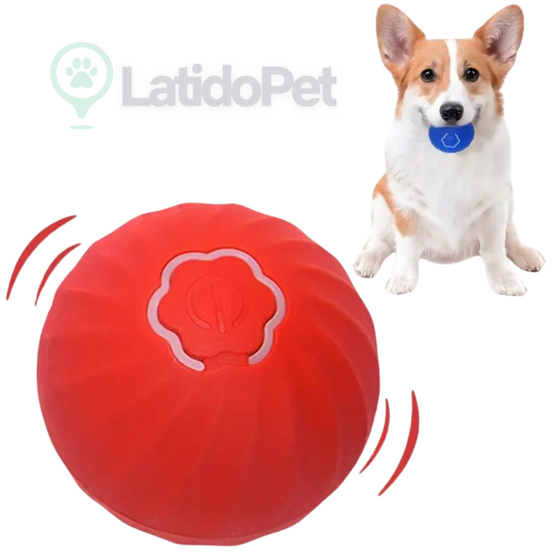 Bola maluca automática para caes e gatos- LatidoPet