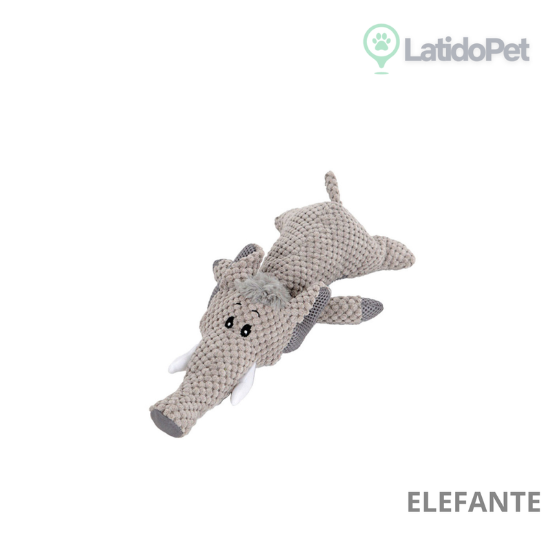 Transforme a Hora da Brincadeira com a LATIDOPET!