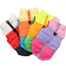 Colete para inverno - pet - LatidoPet
