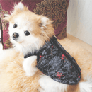 Colete para inverno - pet - LatidoPet