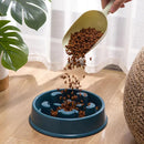 Tigela Alimentadora para cães - LatidoPet