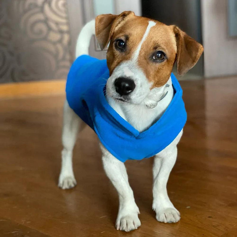 Roupinha para cães - LatidoPet