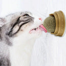 Bola de catnip - antiestresse para gatos - LatidoPet