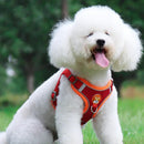 Coleira Peitoral Para Pets - LatidoPet