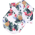 Camisa florida para pet - LatidoPet