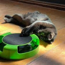 Brinquedo Interativo LatidoPet Diversão Garantida para seu Gato!