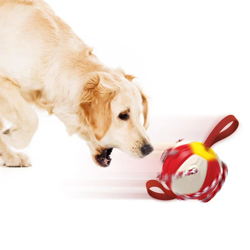 Conheça a Bolinha Multifunções para Pets – A Diversão que Cuida da Saúde do Seu Cão!