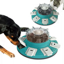 Transforme a Hora da Refeição do Seu Cão!