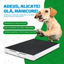 PetyCure Arranhador de Unha para Cachorro Caixa Lixa Petiscos Esconderijo Brinquedo Interativo