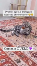 Pássaro voador para pet com controle remoto - LtidoPet